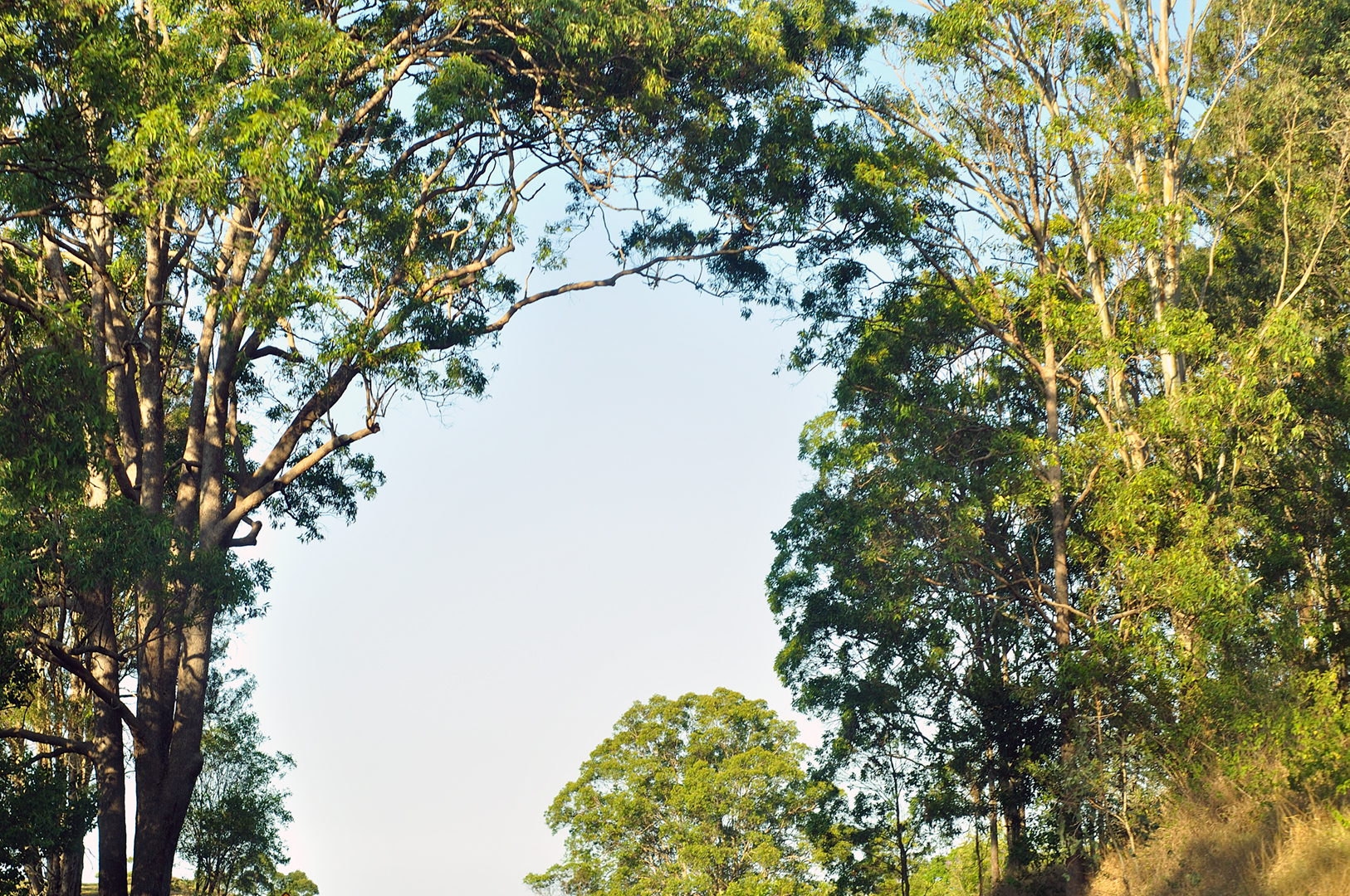 Sunshine Coast Entrepreneurs Transform Fastest Growing Neighbourhoods