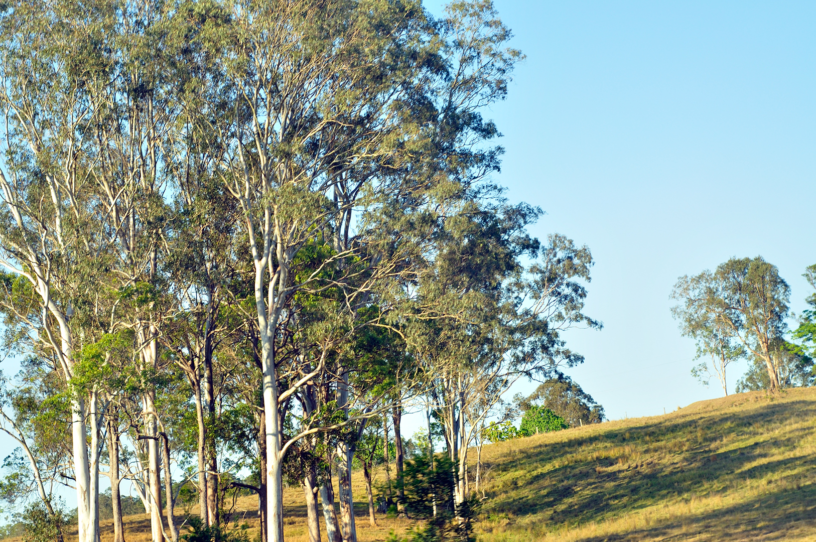 Sunshine Coast Residents Demand Voice as Region Transforms Rapidly