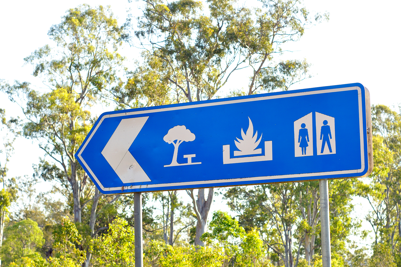 Sunshine Coast Winter Events: Complete Guide to Costs and Access