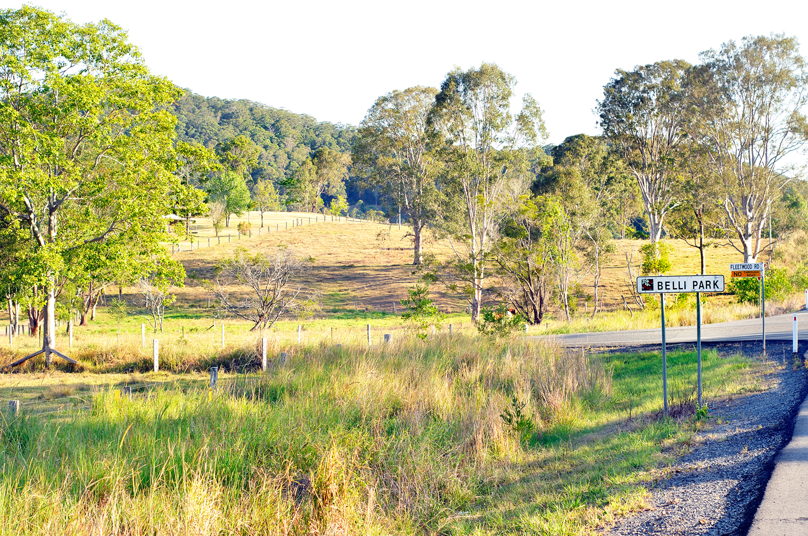 Why expats are ditching London and Sydney for the Sunshine Coast's quieter equation