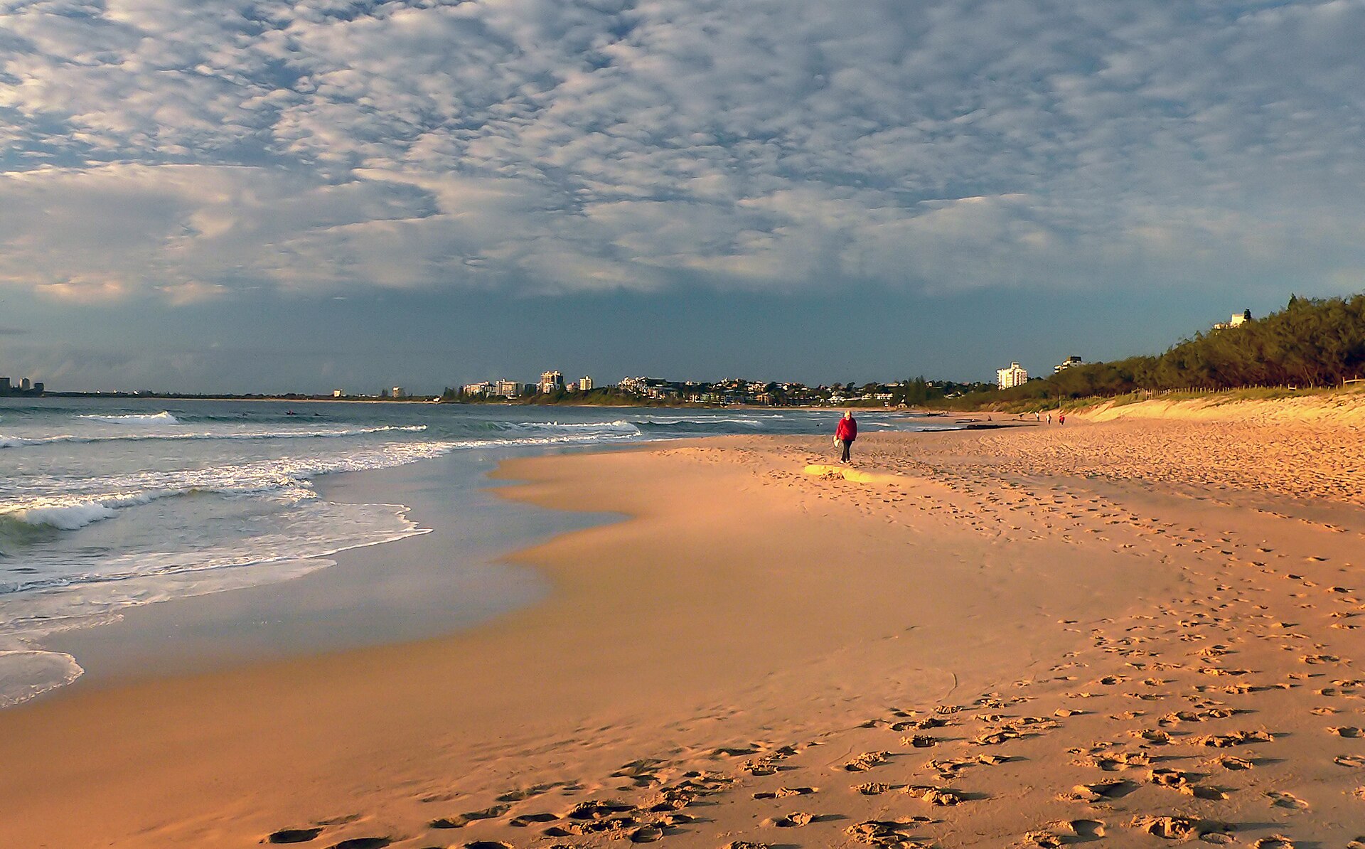 AI Is Reshaping the Sunshine Coast Startup Scene, and Local Founders Are Scrambling to Keep Up