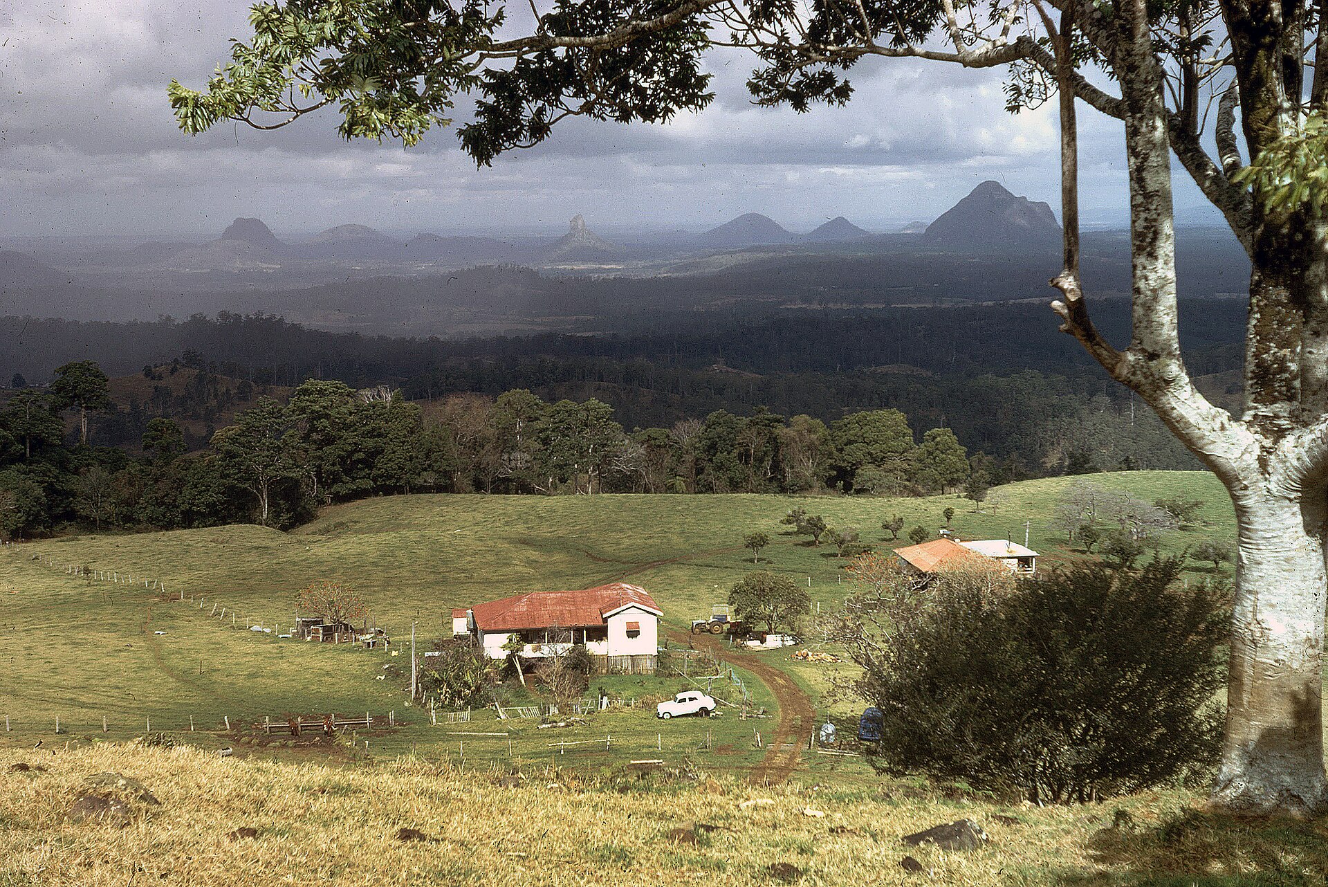 Five Seasonal Recipes Using Local Produce Available Now on the Sunshine Coast