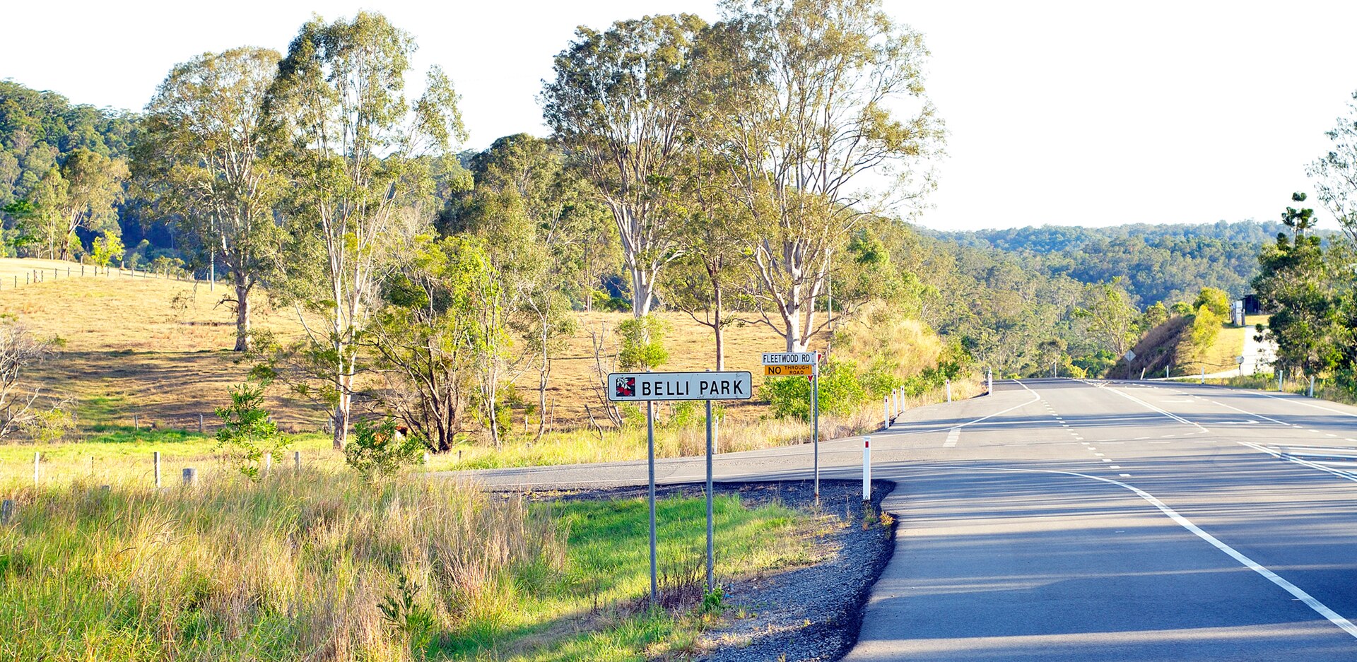 Residents Push Back on Tree Clearing as Sunshine Coast Boom Reshapes the Hinterland