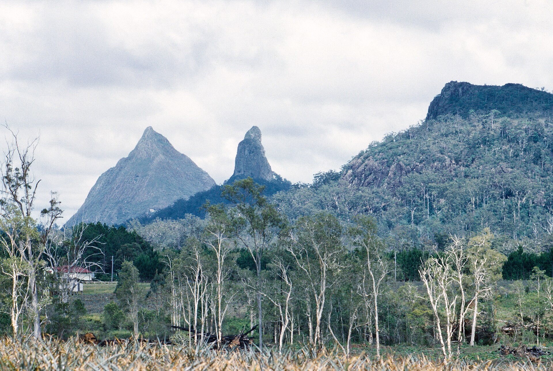 Sunshine Coast Wellness: Evidence-Based Tips That Actually Work Here