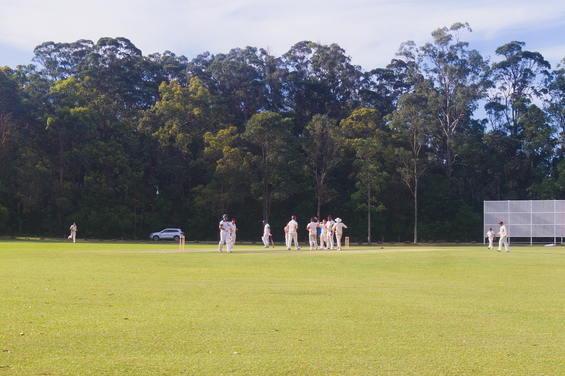By the Numbers: The Sunshine Coast's Green Ledger Is More Complicated Than the Brochure Suggests