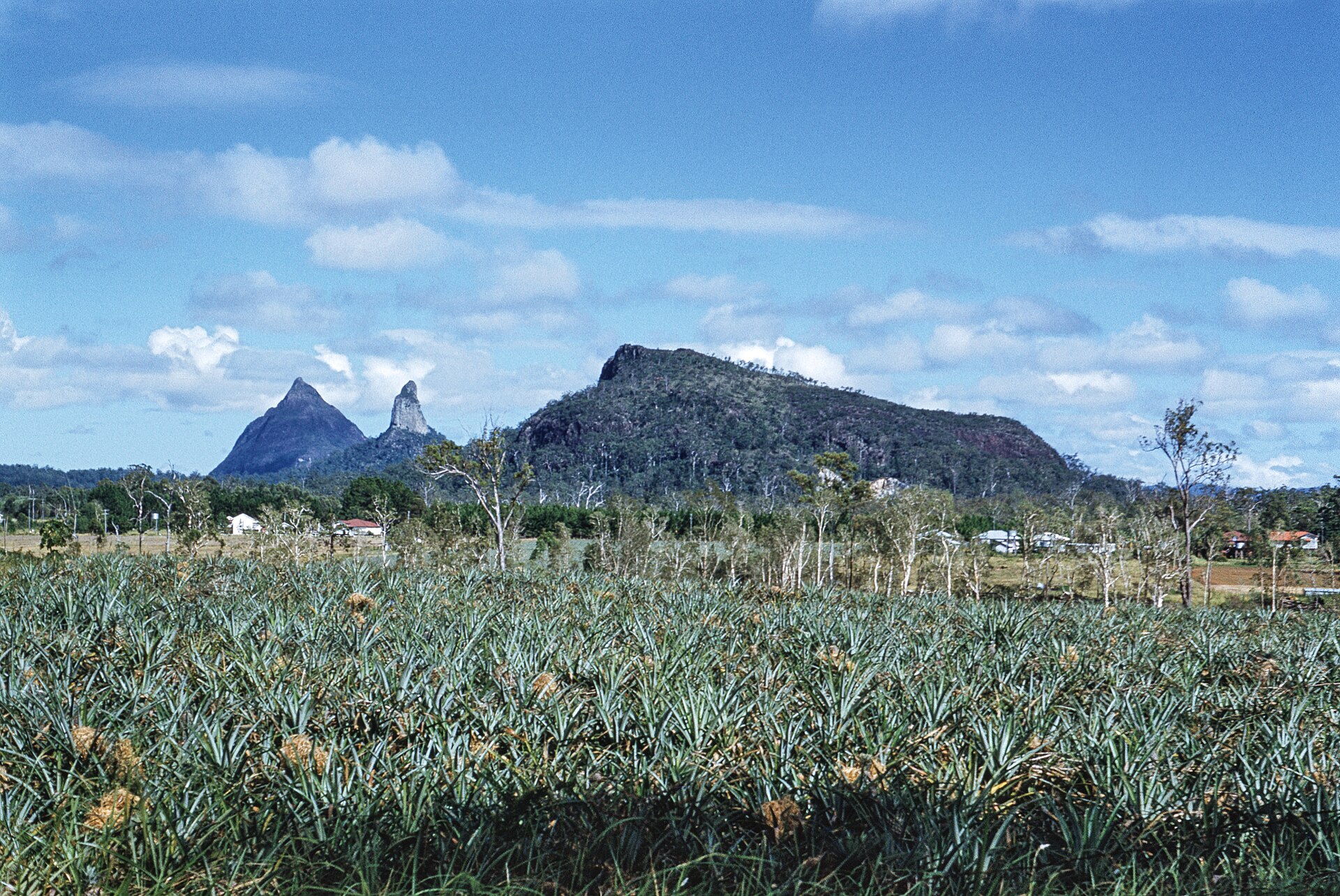 Beyond the Postcard: The Hidden Nature Walks Locals Love But Tourists Miss