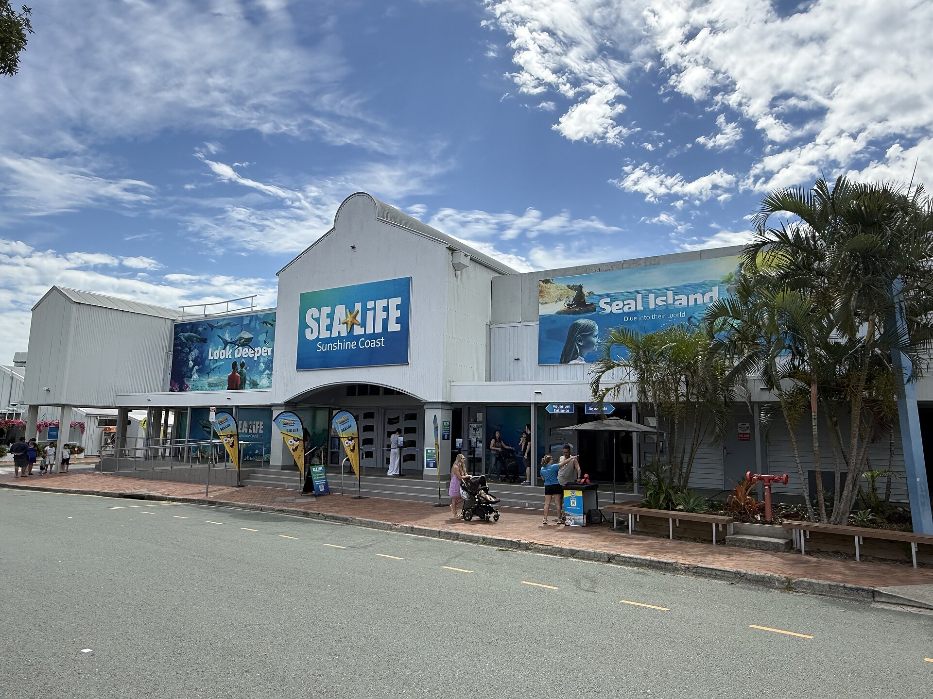 Sand, Science and Hard Choices: What Sunshine Coast Officials and Experts Are Saying About Coastal Erosion