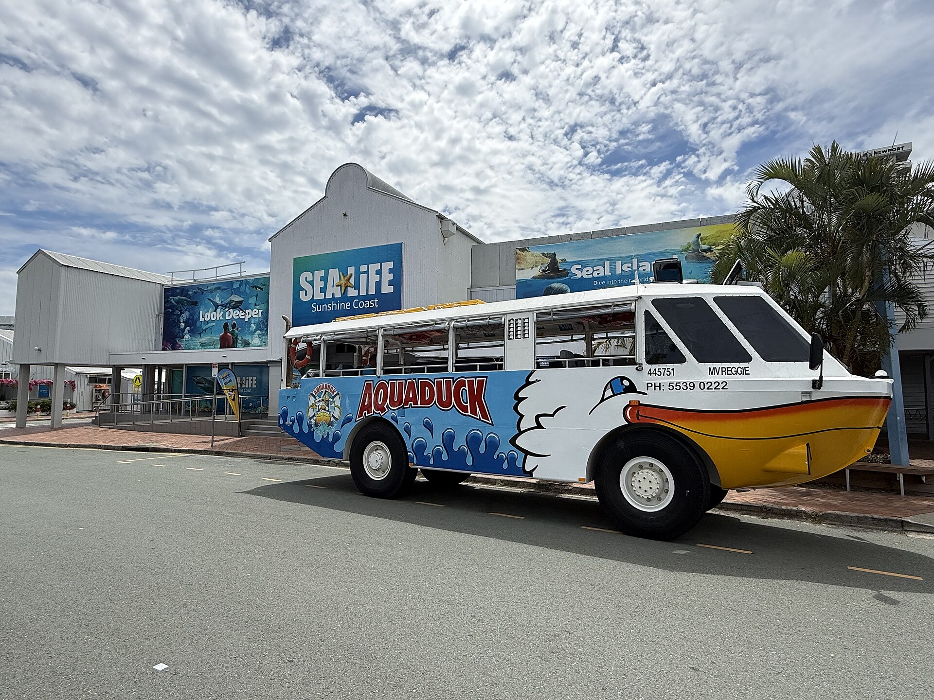 Mooloolaba Spit Winter Guide: Costs, Access, What You Need to Know