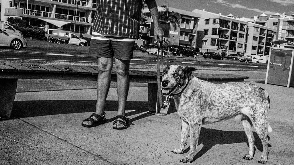 Sunshine Coast Council's Boost to Community Services Targets Growing Social Needs