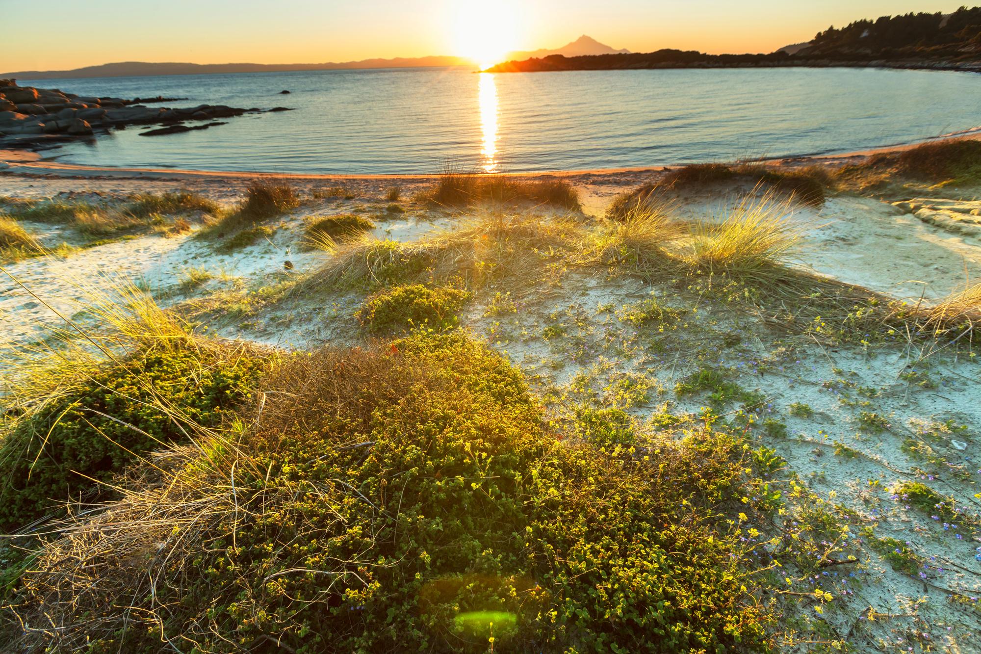 Sunshine Coast Unveils 12 Wellness Resources for Mental Health and Fitness