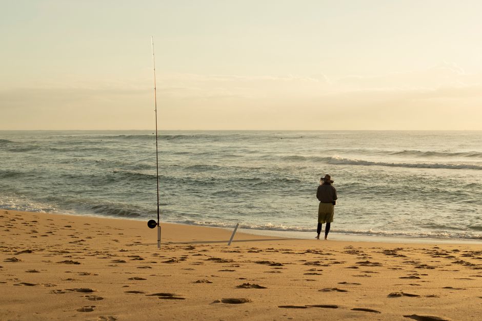 AI Transforms Daily Life for Sunshine Coast Residents Across Region
