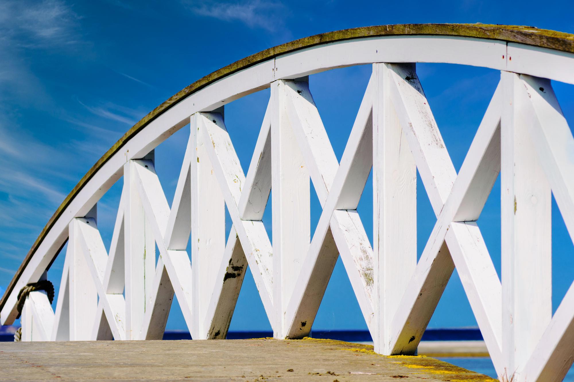 Complete Guide to the Best Local Experiences on the Sunshine Coast Right Now