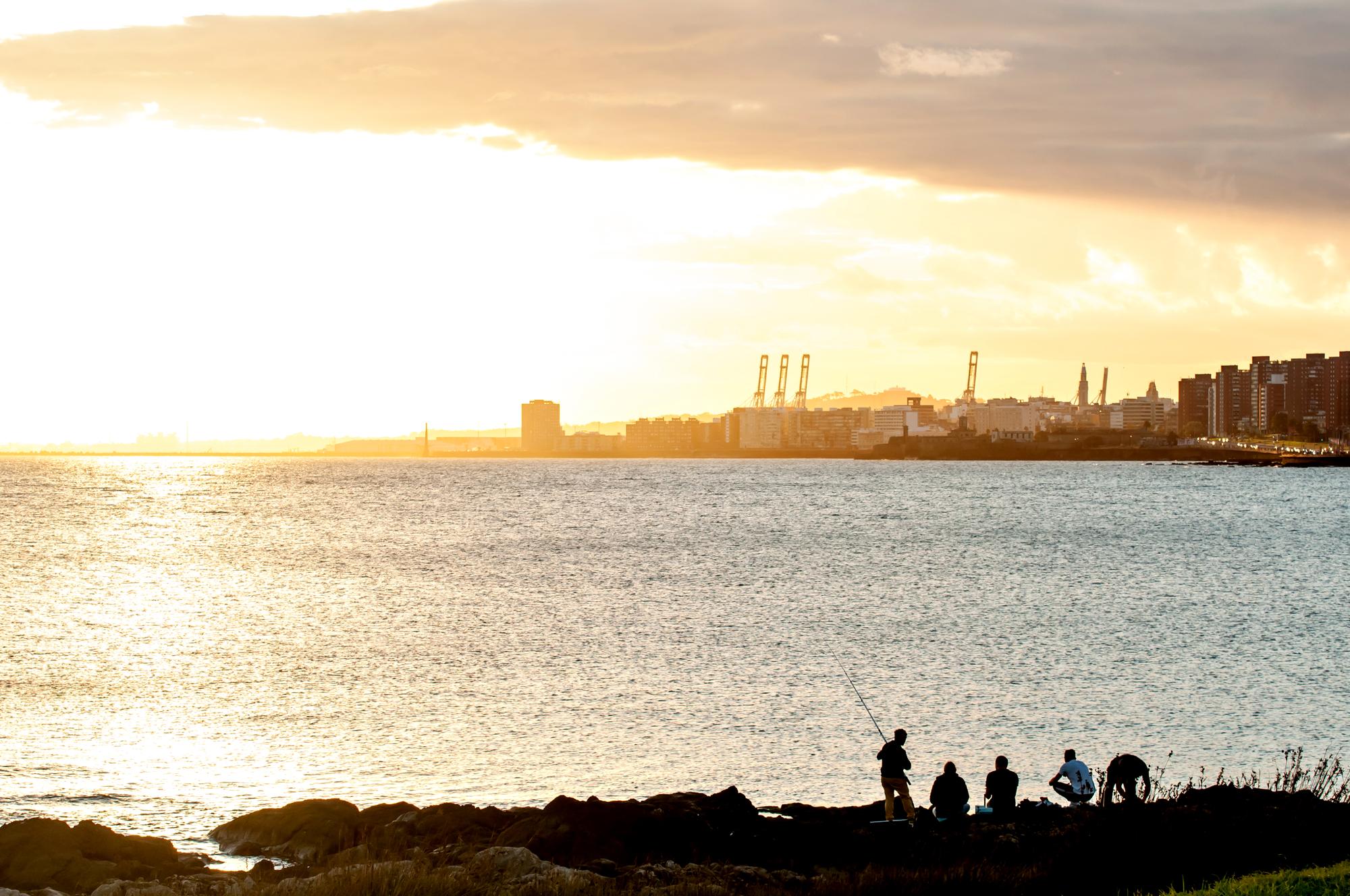 Community Pulse Powers Sunshine Coast’s Cultural Renaissance