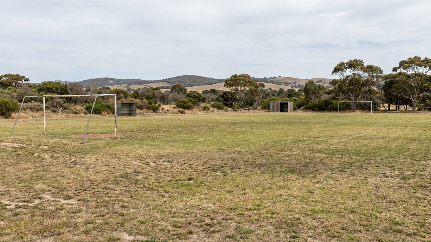 Grassroots Programs Drive Community Sport Participation on the Sunshine Coast