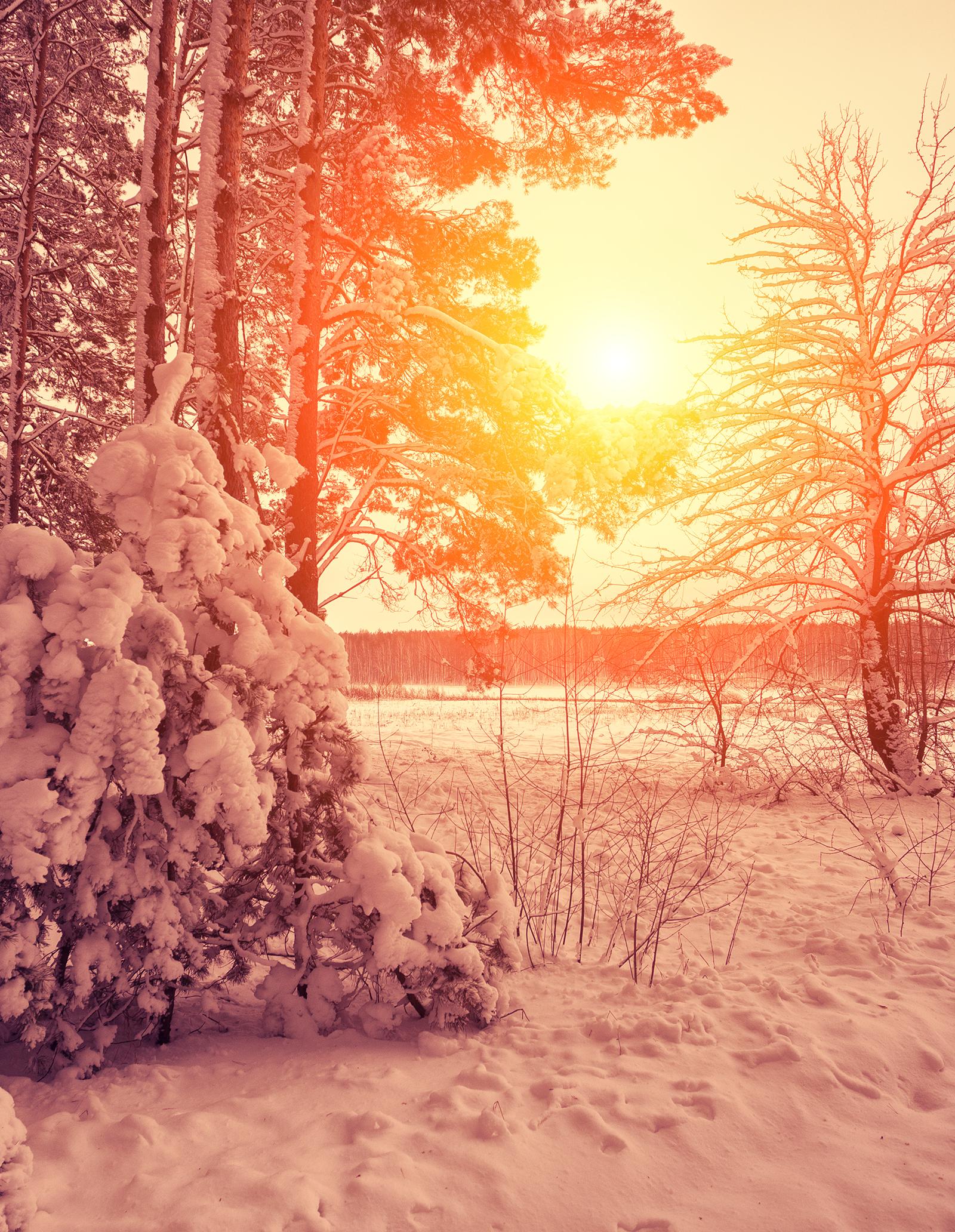 Sunshine Coast Locals Share Daily Winter Survival and Market Tips