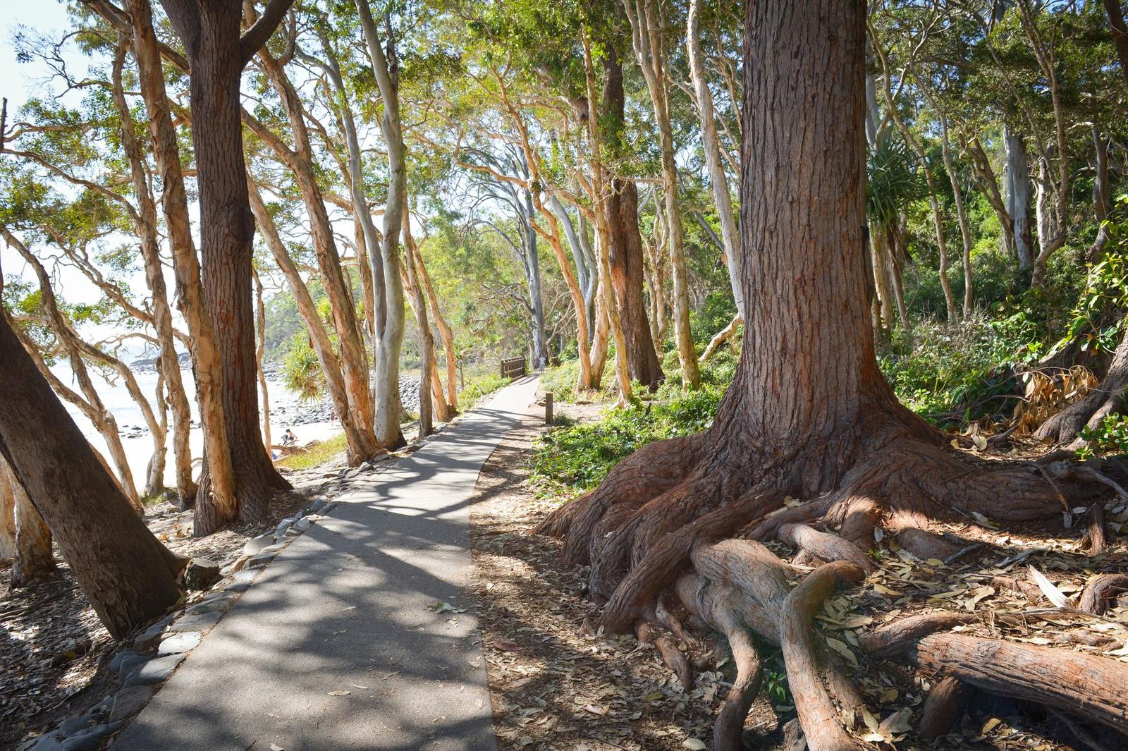 A Footpath in a Park